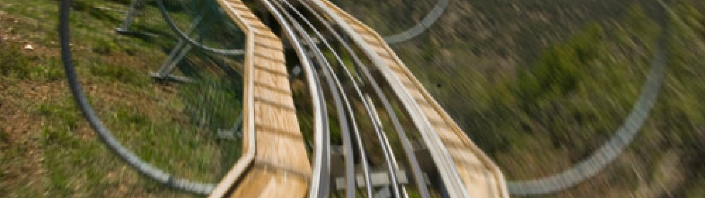 Bratislava Giro in bob e birre image 1