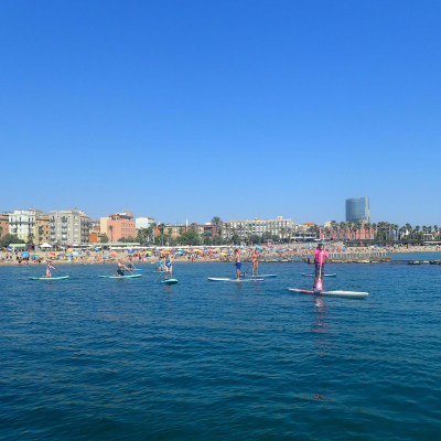 stand-up-4baja.jpg image 3