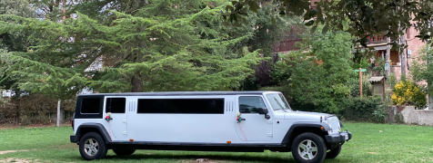 Barcellona Giro in Jeep Limo + Cena con Spogliarello image 2