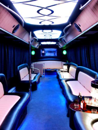 Party Strip Bus Cracovia