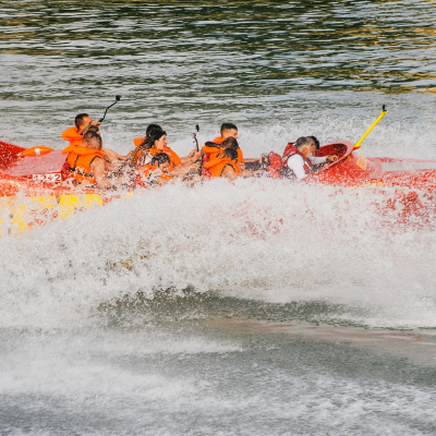 025e02bd-76e9-448a-bea6-9027e2fc1225.jpg image 5