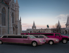 Budapest Giro in Limousine image 4