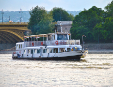 Budapest Crociera sul fiume con pupe oliate image 3