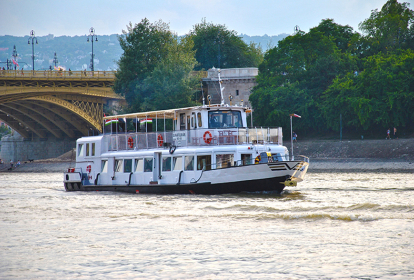 Budapest Crociera sul fiume con pupe oliate image 3