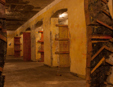 Budapest Paintball image 3