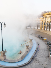 Spa Detox Budapest