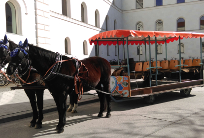 Monaco di Baviera Tour in carrozza con cavallo e birra image 1