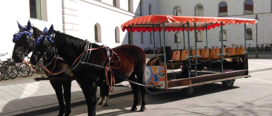 Monaco di Baviera Tour in carrozza con cavallo e birra image 1