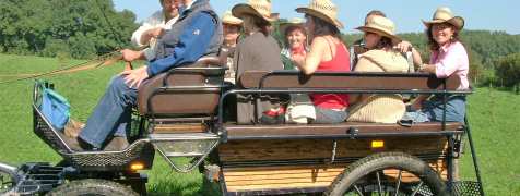 Monaco di Baviera Tour in carrozza con cavallo e birra image 2