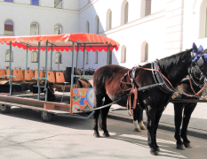 Monaco di Baviera Tour in carrozza con cavallo e birra image 3