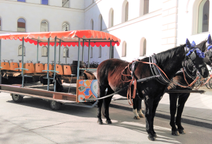Monaco di Baviera Tour in carrozza con cavallo e birra image 3
