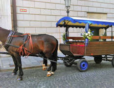 Monaco di Baviera Tour in carrozza con cavallo e birra image 4