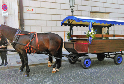 Monaco di Baviera Tour in carrozza con cavallo e birra image 4