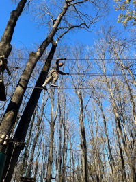 Avventura con corde alte e zipline Bucarest